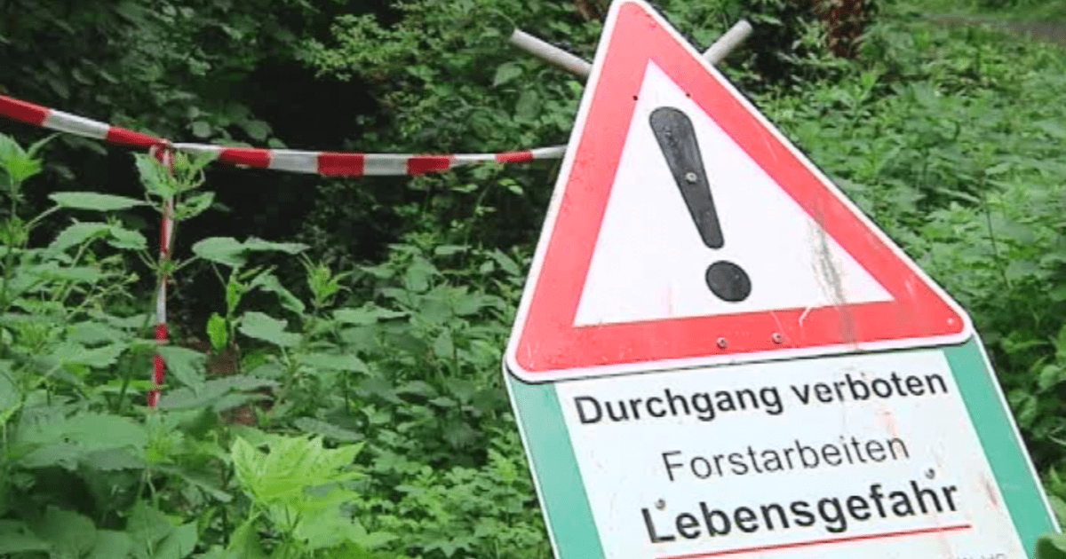 Oberwolfach: Waldarbeiter stirbt bei Arbeitsunfall