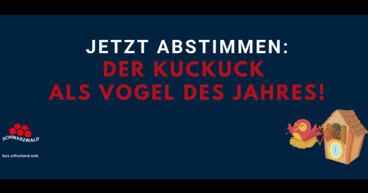 Der Kuckuck soll Vogel des Jahres werden - Stimmen Sie ab ...