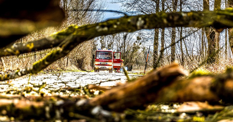 Feuerwehr, Orkan, Sturm, Sturmschäden, Baum, © Pixabay (Symbolbild)