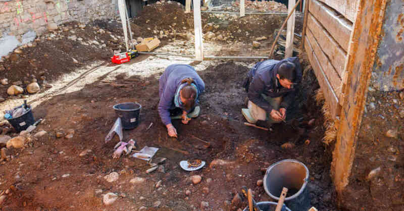 Archäologie, Ausgrabung, Knochen, Mensch, Skelett, Tod, Lepra, Mittelalter, Freiburg, Knochen, © Philipp von Ditfurth - dpa (Archivbild)